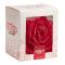 RIESIGE ROSE AZYME FARBE ROT 12,5 CM