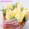 Sugar and Crumbs Nifty Nozzle -6 Petal Tulip-
