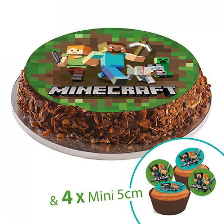 Sugar discs, 20 cm, Minecraft+ 4 mini disc 5cm for cupcake or deco