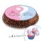 Sugar discs, 20 cm, Reveal + 4 mini disc 5cm for cupcake or deco