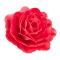 GIANT ROSE AZYME COLOR RED 12,5 CM