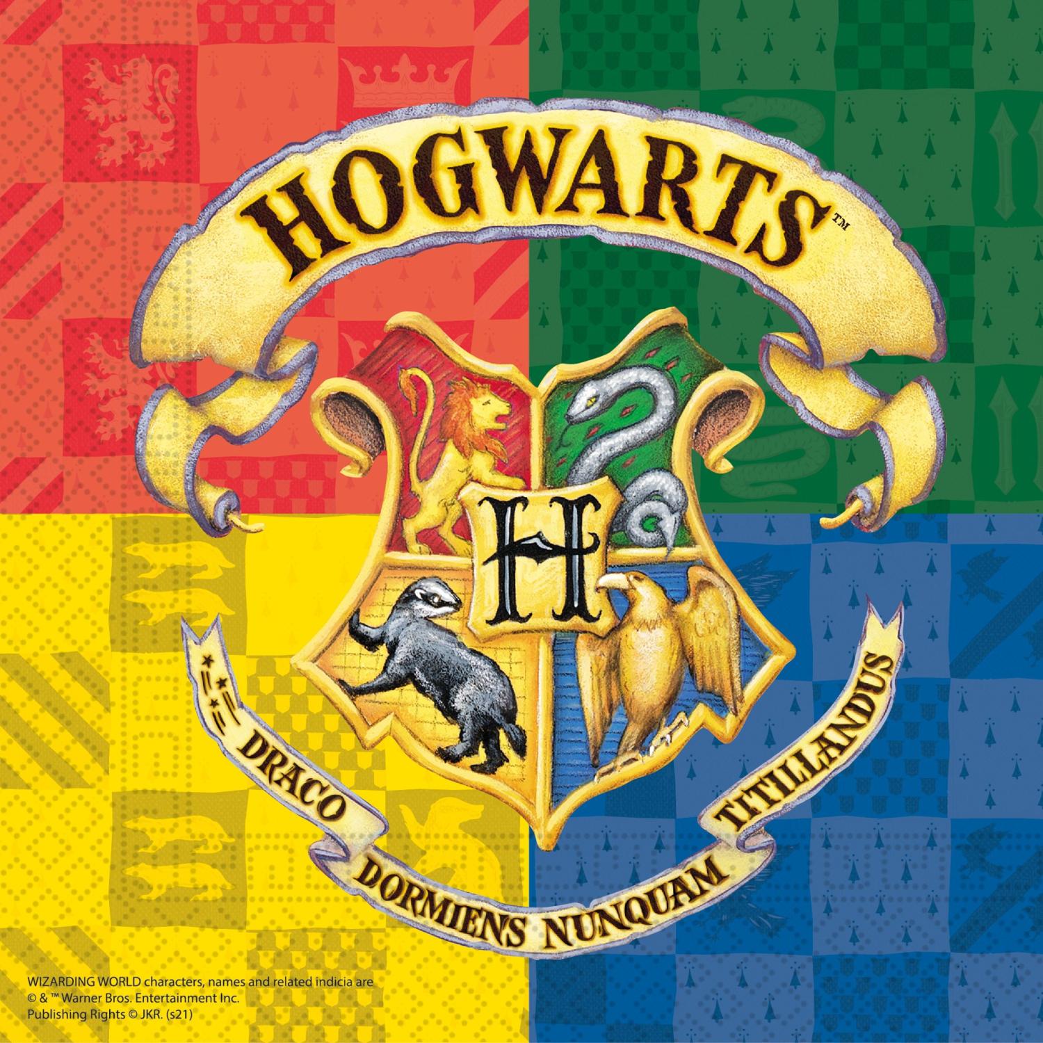 20 serviettes  Harry Potter, papier, 33 x 33 cm