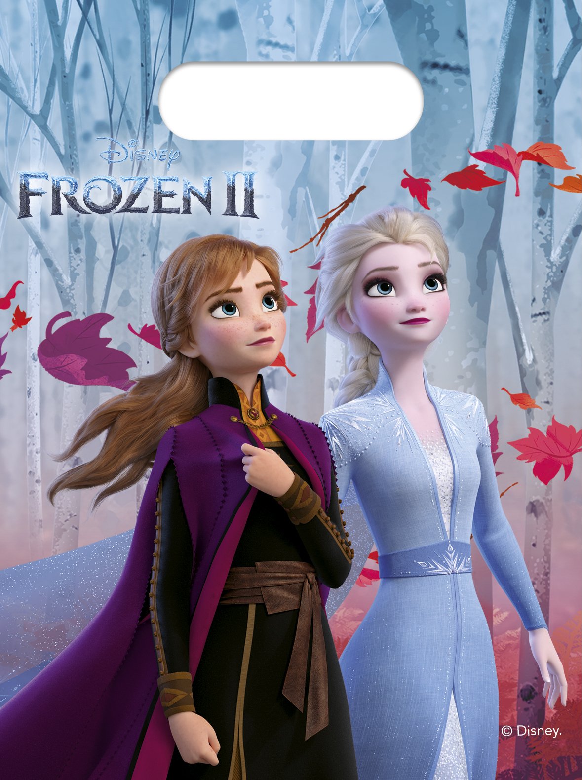 6 Partybeutel Frozen II