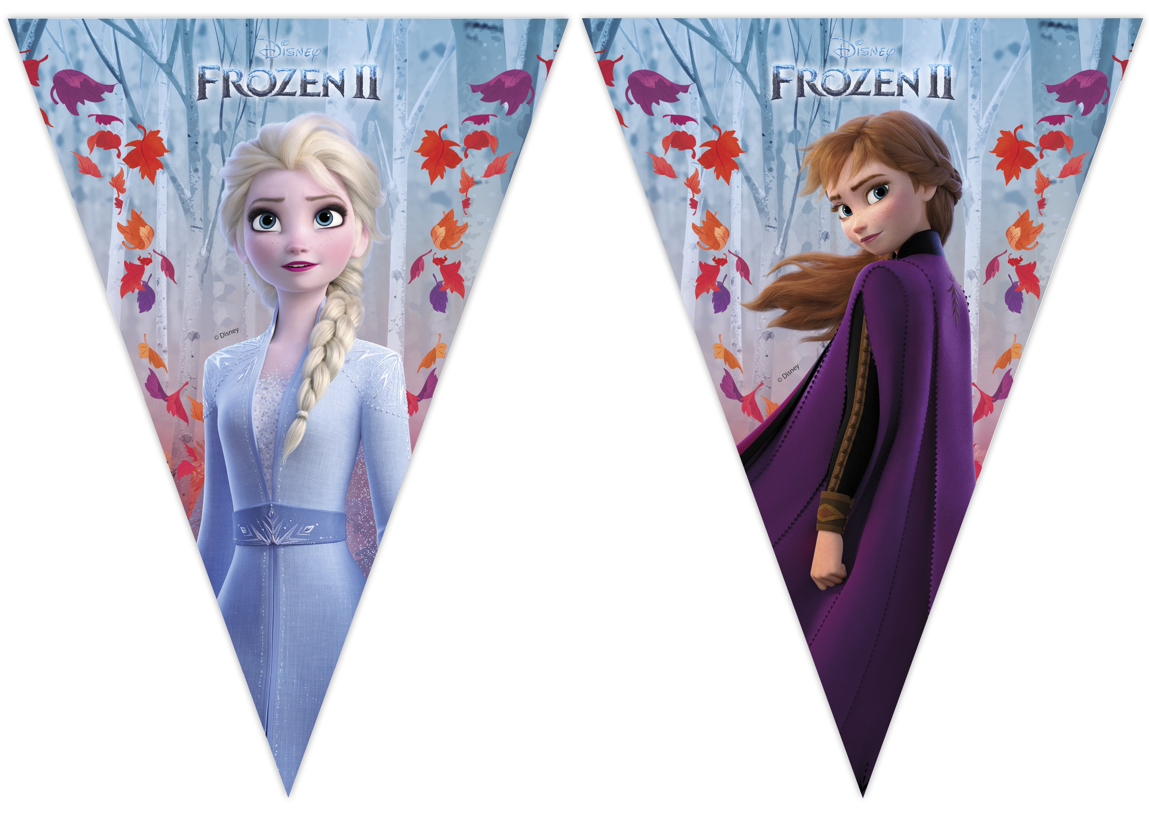 Wimpelkette Frozen II 2,3 M