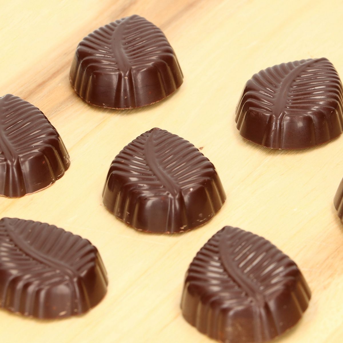 FUNCAKES CHOCOLATE MOULD - Leaves