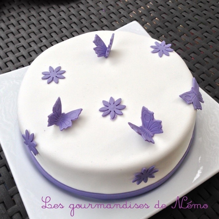 gâteau d'anniversaire papillons