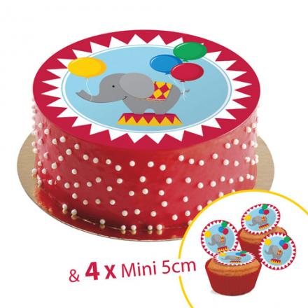 Disque en sucre NINJAGO, 20cm + 4 mini disque 5cm à Cupcake ou déco  Creasweet CREA-NINJAGO : Creasweet : vente et livraison de décoration de  gâteau et tout pour les anniversaires, multitude
