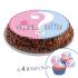 Disque en sucre Reveal, 20cm + 4 mini disque 5cm à Cupcake ou déco